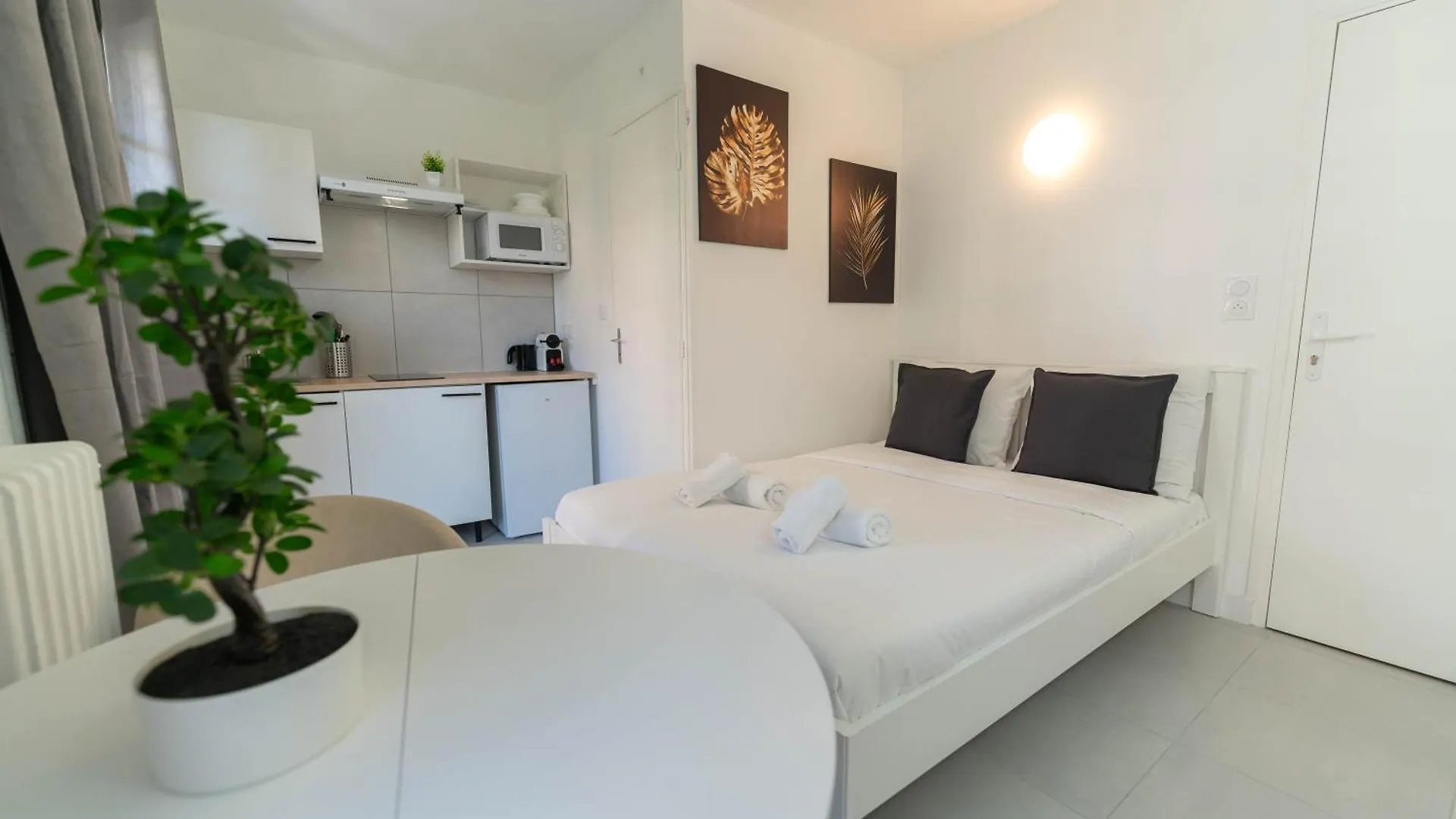 Apartment Studios Cosy Nice France